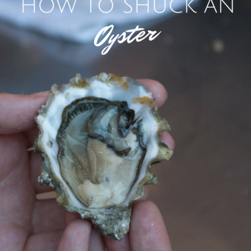 Shuck an Oyster